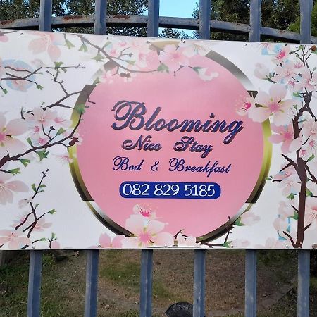 Blooming Nice Stay Harrismith Buitenkant foto