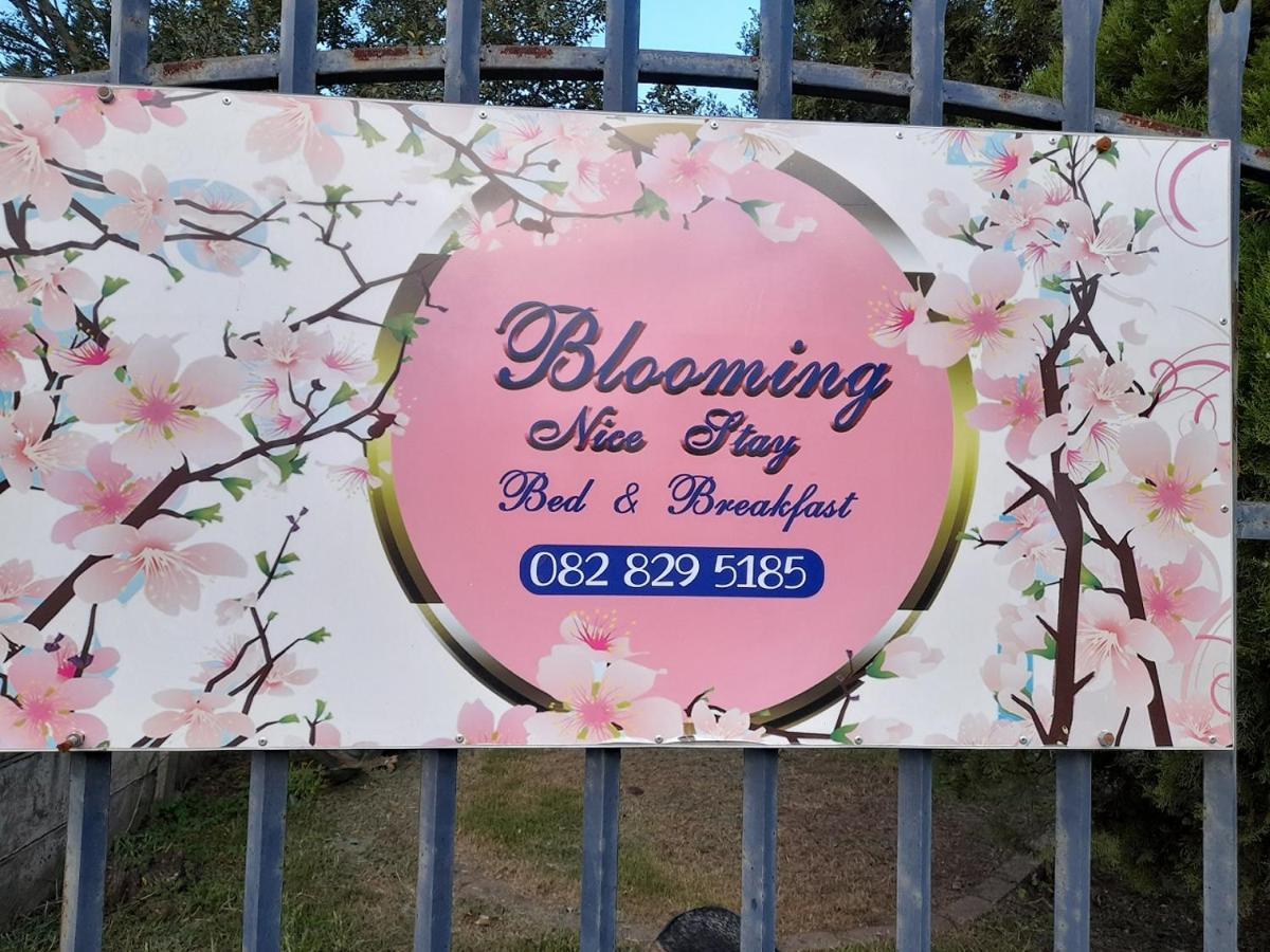 Blooming Nice Stay Harrismith Buitenkant foto